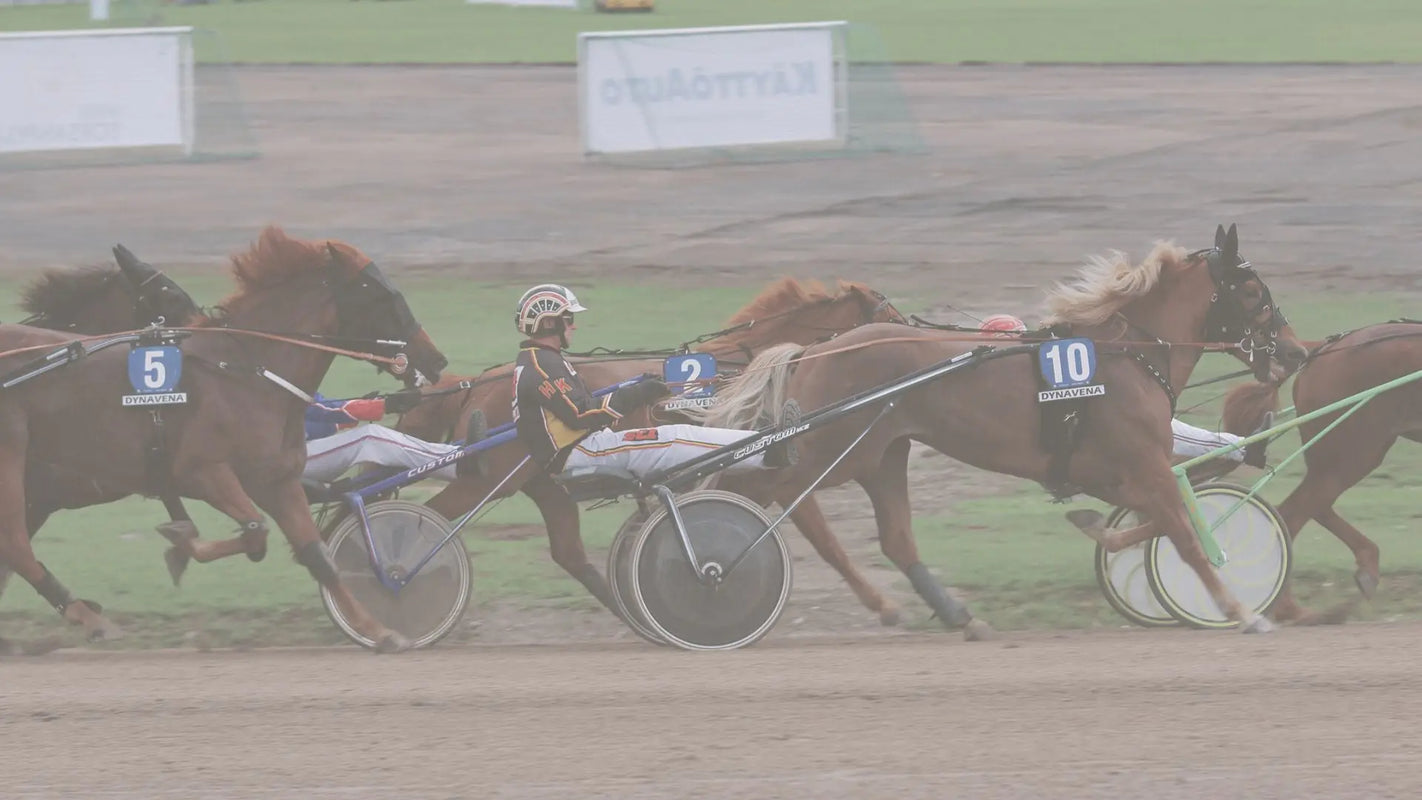 Kuninkuusravi-tarjoukset Back on Track Finland
