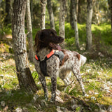 TRAKK koiran huomioliivi rintasuojalla, Back on Track Finland