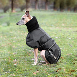Whippet-takki - Back on Track Finland